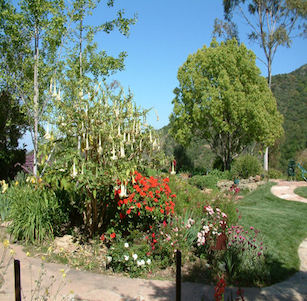 Westlake Village Springs Garden